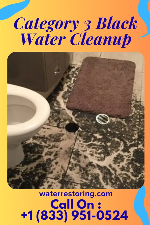 Category 3 Black Water Cleanup in Hazelton, ND