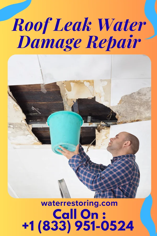 Roof Leak Water Damage Repair in Hazelton, ND